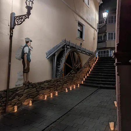 Ii Gemuetliches 1-zimmer-apartment & Eigenes Bad Ii Apartman Koblenz