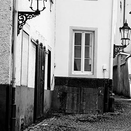 Ii Gemuetliches 1-zimmer-apartment & Eigenes Bad Ii Apartment