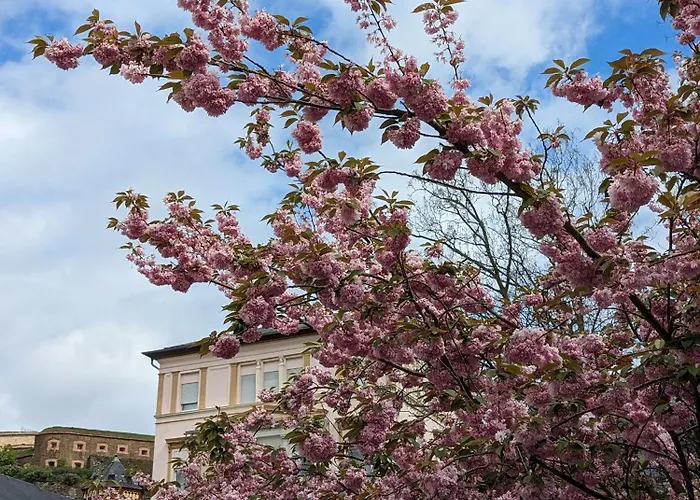 Ii Gemuetliches 1-zimmer-apartment & Eigenes Bad Ii Κόμπλεντς
