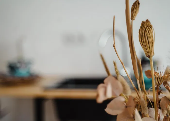 Ii Gemuetliches 1-zimmer-apartment & Eigenes Bad Ii Appartamento